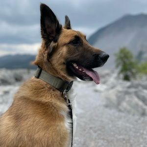 Meet your Posher, Fate